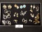 Group of Sixteen Pairs Clip on Earrings