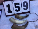 Set of 3 powder horns w/ some carvings