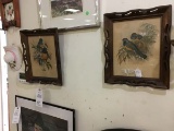 Pair of Antique Oriole Bird Prints in Wooden Frames, 13.5