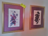 Pair of Prints by B. Sumroll, Signed, Still Life Blackberries and Grapes, Purple Matting, 20