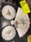 3 Piece Lot of Signed Japanese Hand Painted Porcelain Bird Dishes and Porcelain Wall Hanging Fan