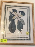 Decorator's Print of Magnolia Flowers in Custom Gold Frame
