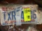 Group of Collectible Car License Plates/Tags; 8 Tags Total; all from NC