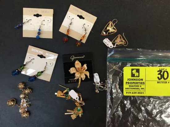Bag of Fashion Jewelry, Earrings and Pin