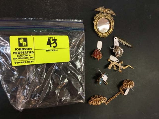 Bag of Fashion Jewelry, Pins and Brooches
