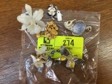 Bag of Fashion Jewelry, Pins and Brooches