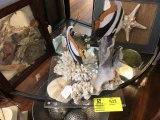 Coral and Shell Decorative Piece on Plexiglass Stand; 12