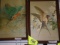 Pair of Framed Bird Prints, Signed by Basil Ede, 13