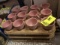 Three Trays of Pink Coffee Cups (not marked but match Fiesta in Lot 396), 12 Cups in each Tray