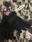Pair of Hybrid Hard Knuckle Gloves, Size XL, Black