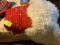 Quilt, red w/floral design plus white fur animal skin (rug or throw)