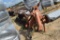 KUHN GMD700 ROTARY DISC MOWER
