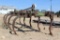 JD 9 SHANK ORCHARD PLOW