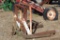 WHEEL DOLLY