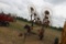 10 WHEEL HAY RAKE