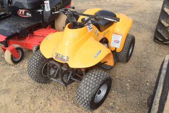 ACE 233i FOUR WHEELER