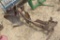 INTERNATIONAL 2 BOTTOM PLOW