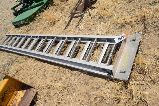 12' ALUMINUM LADDER