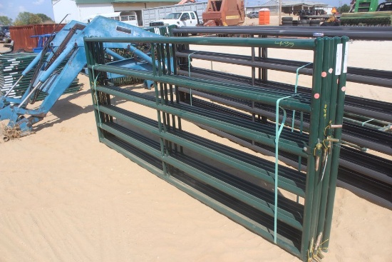 10ft Bulgates 5ct
