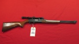 Winchester mod 290 .22LR semi auto with Simmons scope , tag#5501