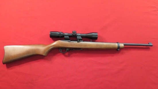 Ruger 10/22 .22LR semi auto, Bushnell Banner 3x-9x40 scope, tag#1028