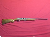Savage/Coast to Coast 285N .22 semi auto , tag#6191