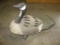Goose Decoy blind~3212