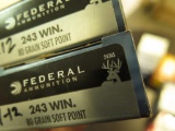 40 rds - Federal 243 WIN, 80gr~3481
