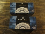 40 rds - Federal 243, 100gr~3503