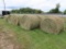5x5 grass round bales, 2nd crop (total out of 12)