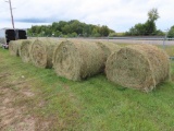 5x5 grass round bales, 2nd crop (total out of 12)