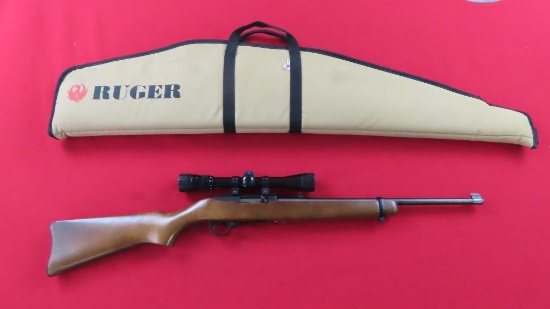 Ruger 10/22 .22LR semi auto carbine w/Bushnell Sportview with case, tag#747