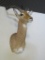 African Impala (Aepyceros melampus) shoulder mount. Excellent condition! **