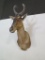 African Hartebeest (Alcelaphus buselaphus) shoulder mount. Excellent condit