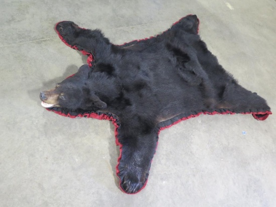 Black Bear pelt 65" X 57" Great condition!~1129