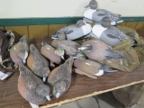 6 - Tanglefree Magnum Pintail decoys and 12 Avery Pro Grade Wigeon decoys i