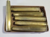 6 - brass cartridges~6388