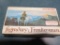 20rds Winchester Legendary Frontiersman 38-55 Nickle plated~6984