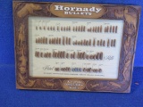 Framed Hornady Bullet display~6605