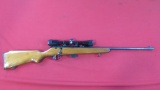 Glenfield Mod 25 .22 S-L-LR, Bushnell Sportview Scope, 1 mag, ~6609