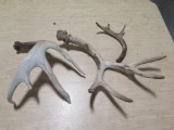 2 - deer antlers~7000
