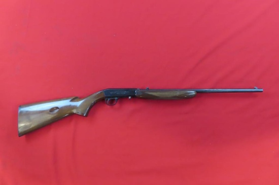 Browning 22LR 22cal, semi auto rifle , tag#3685