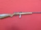 Squires Bingham 20 .22 semi auto rifle, Functions, doesnâ€™t feed|A171234,