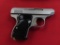 Sterling Arms model 300 .25ACP semi auto pistol, stainless with factory box