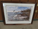Wildlife Print - David A. Maass - 541 of 850 ducks rocky shore - (NO SHIPPING AVAILABLE)