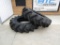 (2) New Goodyear 520/85R42