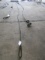 20' Choker