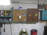 Wall Cabinet with Contents