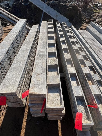 (8) 6" x 9' Western Aluminum Concrete Forms, Smooth, 6-12 Hole Pattern, Located in Latham, NY.