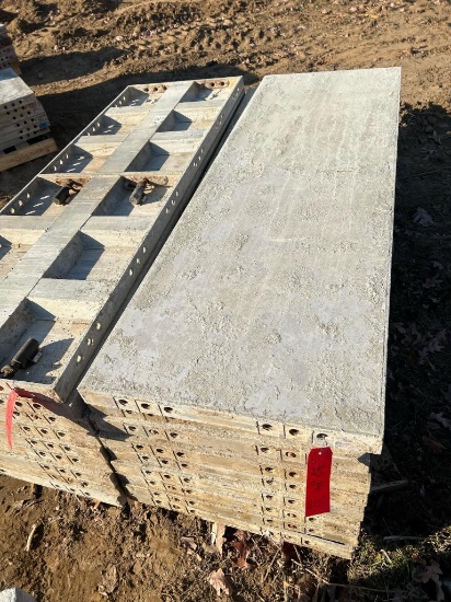 (9) 72" x 2' Western Aluminum Concrete Forms, Smooth, 6-12 Hole Pattern, Located in Latham, NY.